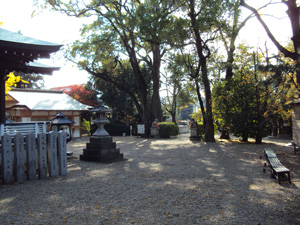 疣水磯良神社の向かって左後方からの境内
