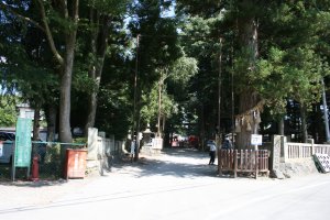 阿礼神社参道入口、右手に御神木 その後方にいぼ神様の石燈籠