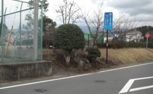 中央の木の下にイボの神様