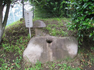 イボの神様はいぼ石タイプで中央に水の溜まった窪みがある