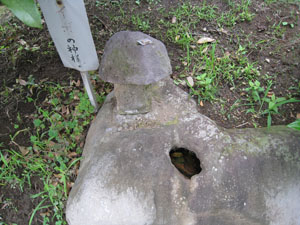 上から眺めたイボの神様
