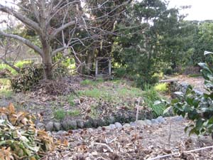 木の手前にいぼ地蔵のブロック製の祠