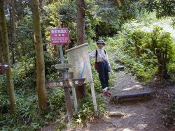 日本坂峠