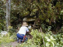 花を整備する山の地主さん