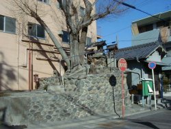 大きな木の後ろのお社がいぼ神様、いぼ神様の裏は御器所3、4丁目町内会公民館