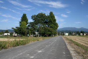 西方から眺めた行人様の森