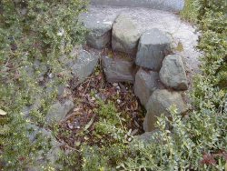 いぼ塚の前の窪みの泥を採っていぼとりを祈願します。