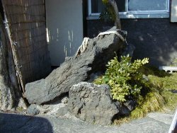 横から見た蛙石