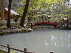 いぼとり池を左方向から撮影、左が八王子社、右が宗像社