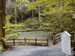 いぼとり池を中央から撮影