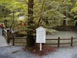 いぼとり池右側を中央から撮影、橋の前に池の説明あり