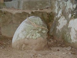 いぼ石には注連縄が飾ってあった。割り箸で石を撫でていぼ取りを祈願します。