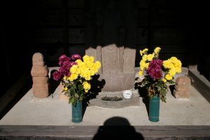 きれいなお花が奉納されていました