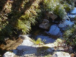 「どんどん沢」の水を小瓶に汲む