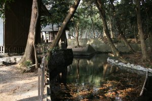 水神橋から撮影した鯉が泳いでいる水神社の池