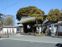 圓明院の山門