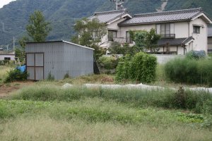 駐車場北の畑にある小屋のそばにイボ神様