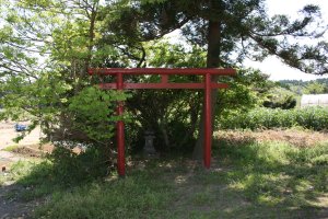 いぼ神様の石碑の前に赤い鳥居があります