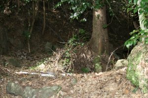 木の後ろの左奥にいんぼ地蔵さん