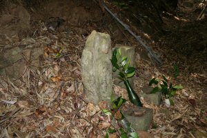 左横から見たいんぼ地蔵さん