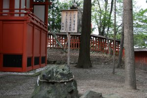 神社境内の向かって右手前にいぼ石