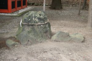 いぼ石には注連縄が飾られています