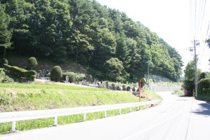 九つ塚前のちょっと東の民宿あららぎ荘の向かいの墓地入口にイボ神様があります