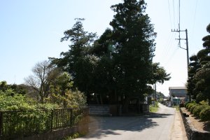 前川総業宅のお向が横芝のいぼ神様