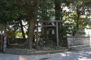 神明鳥居のあるいぼ神様でした