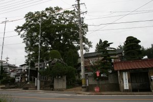 神社鳥居の東側のお宅が旧宮司さんのお住まい