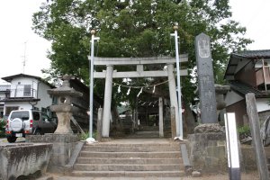 八幡神社の一の鳥居と古木
