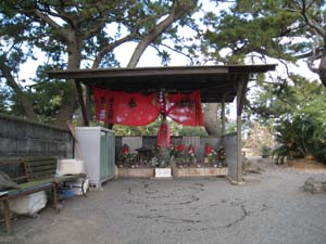 正面から見た棒杭さん