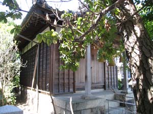 向って左から見た弁天さんのお社
