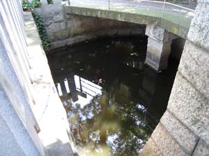石橋左側のよどんだ池の水