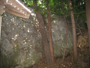 神社後方の大きないぼ岩