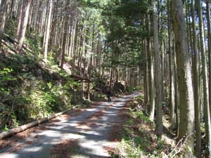 中央の左道路わきに鏡石の祠