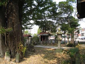 参道をはさみ大木の真向いにいぼとり地蔵