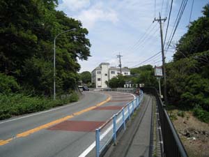 南方から見たホテルジャパン下田社員寮、その向かいの国道西側山沿いにいんぼ地蔵