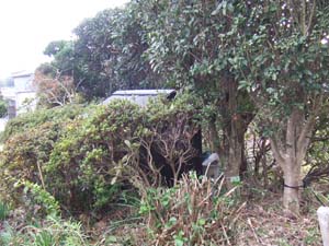 裏方向から見たいぼとり地蔵の祠