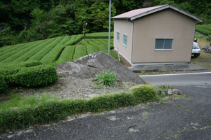 北側から見た疣取り窪石