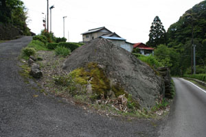 西方向から見た疣取り窪石の拡大