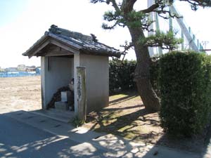地蔵堂の向って右側に松の木