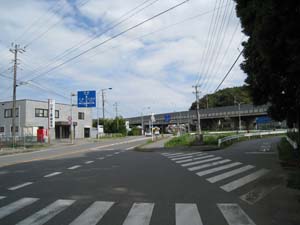 高架橋手前の真ん中の道端に疣取り地蔵
