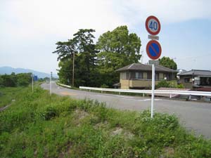 大井川堤の道、林が大井川公園、林手前で右折