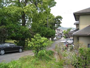 細い路の北側が公園、中央の木の東に地蔵堂