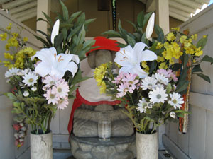 今日もきれいなお花が供えられています