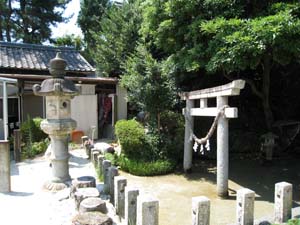 鳥居は社前の池の中に立っています