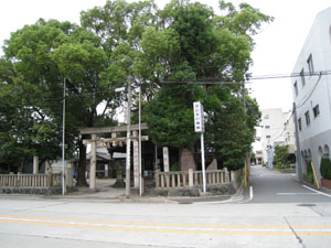 金刀比羅社の神社の森
