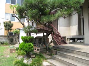 ご本堂の階段の左側の松の木の下にお堂