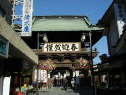 西新井大師の山門